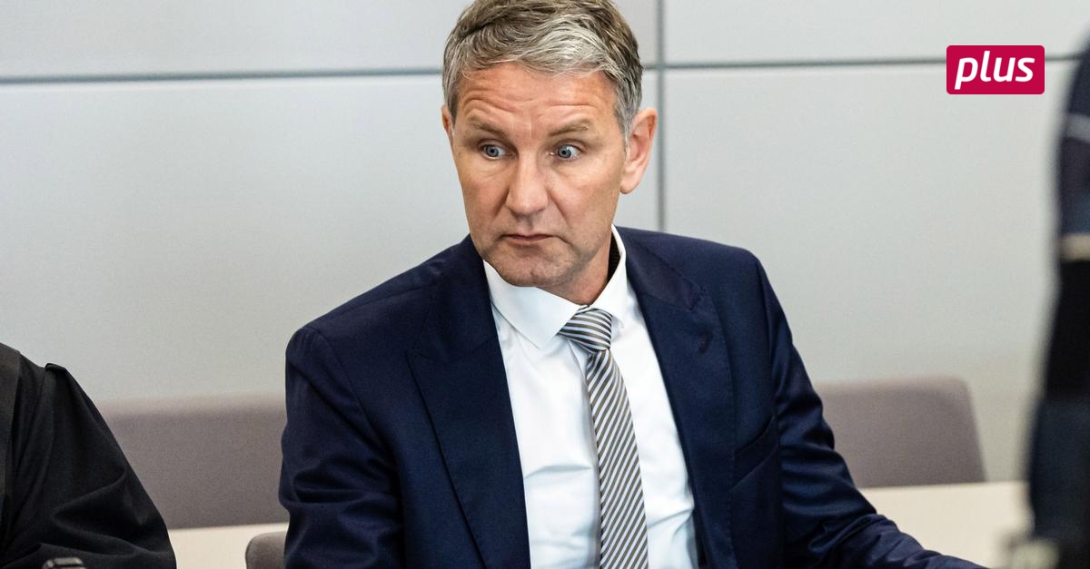 Das Höcke-Urteil: Die Entzauberung Der AfD